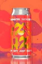 Load image into Gallery viewer, Cloudwater Brew Co. - Fuzzy 440ml