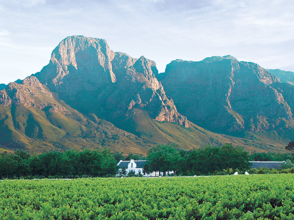 Cape Escape - Evening of South African Wine