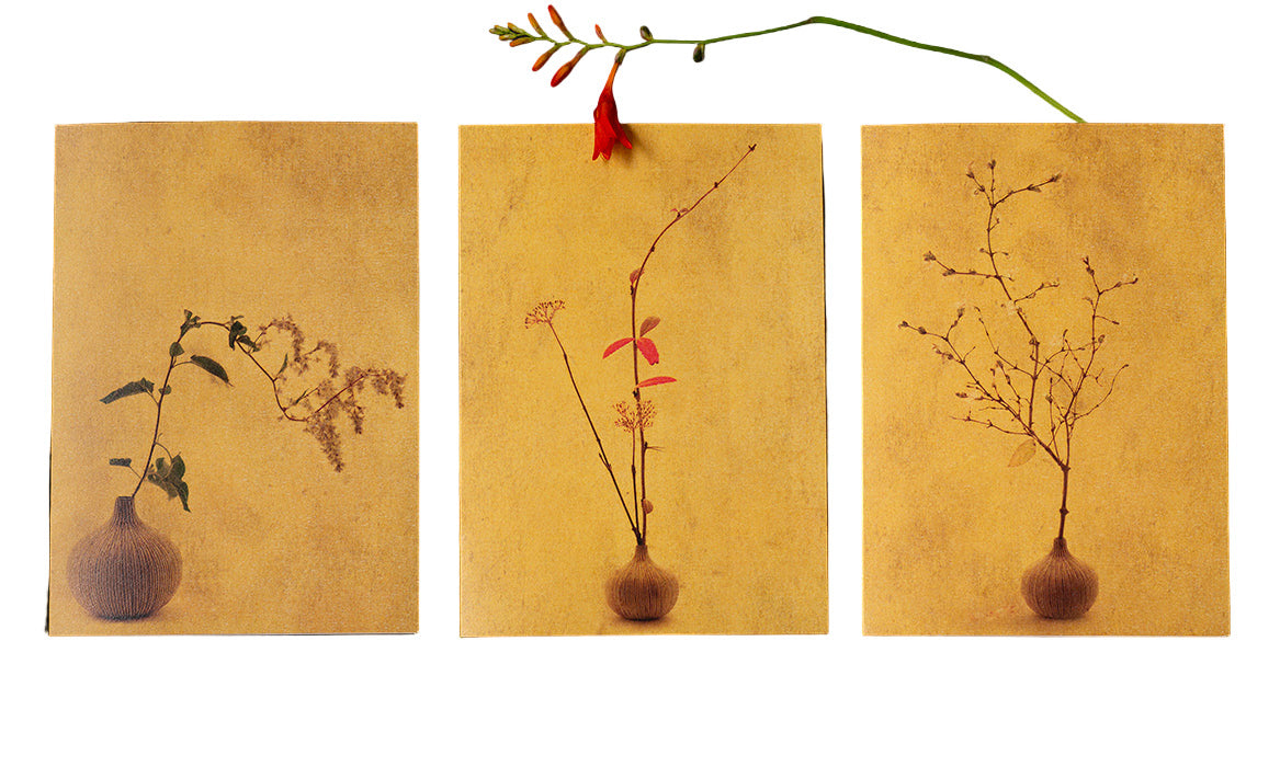 Henika thompson cards