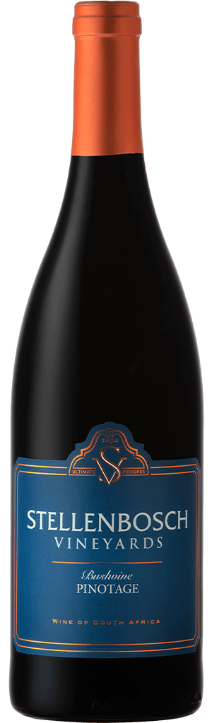 Stellenbosch vineyards bushvine pinotage 2021
